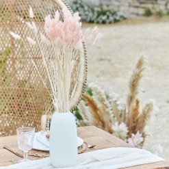 A Touch Of Pampas Blush Pink Dried Bunny Tail Grass (20Pk)