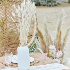 A Touch Of Pampas Off White Dried Bunny Tail Grass (20Pk)