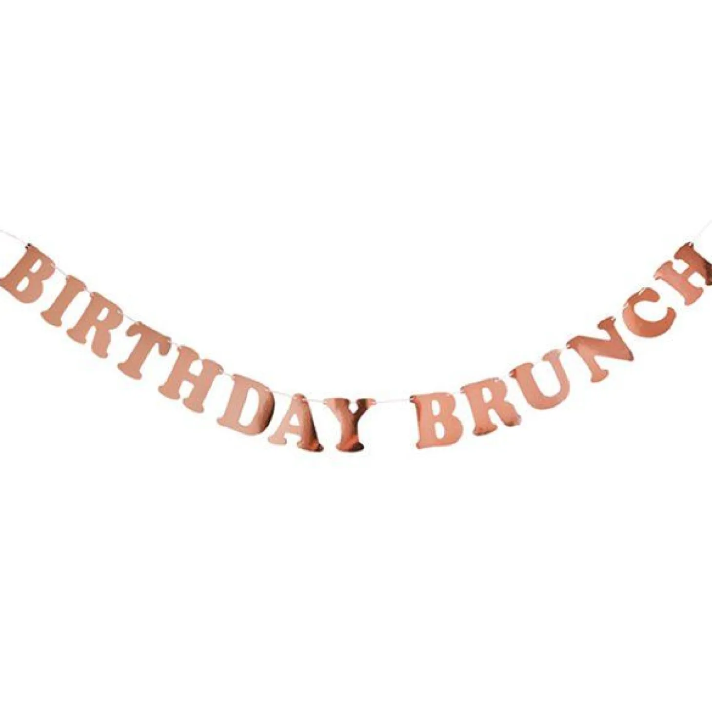 Birthday Brunch Paper Banner - 2M