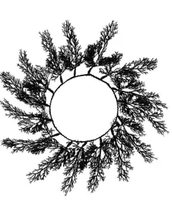 Black Foliage Placemats (4Pk)