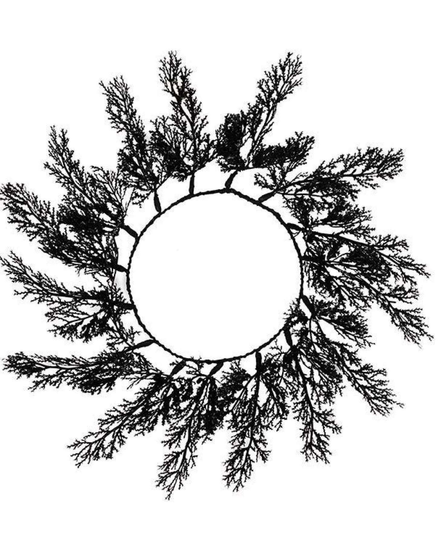 Black Foliage Placemats (4Pk)