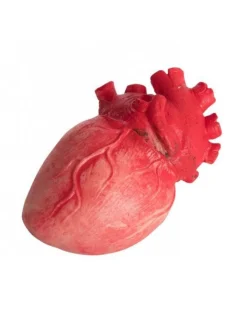 Bloody Heart Prop