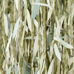 Botanical Baby Green Leaf Backdrop