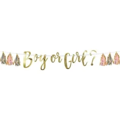 Boy Or Girl Banner With Tassels - 1.5M