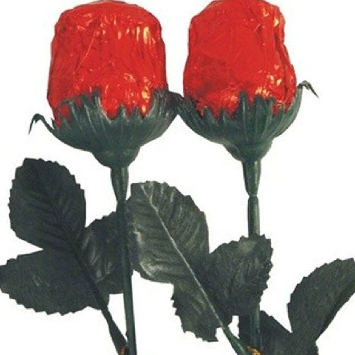 Chocolate Rose - 20G