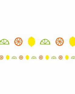 Citrus Fruit Paper Garland - 6Ft