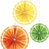 Citrus Fruit Tissue Paper Fans (3Pk)