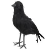 Crow - 23Cm