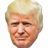 Donald Trump Mask