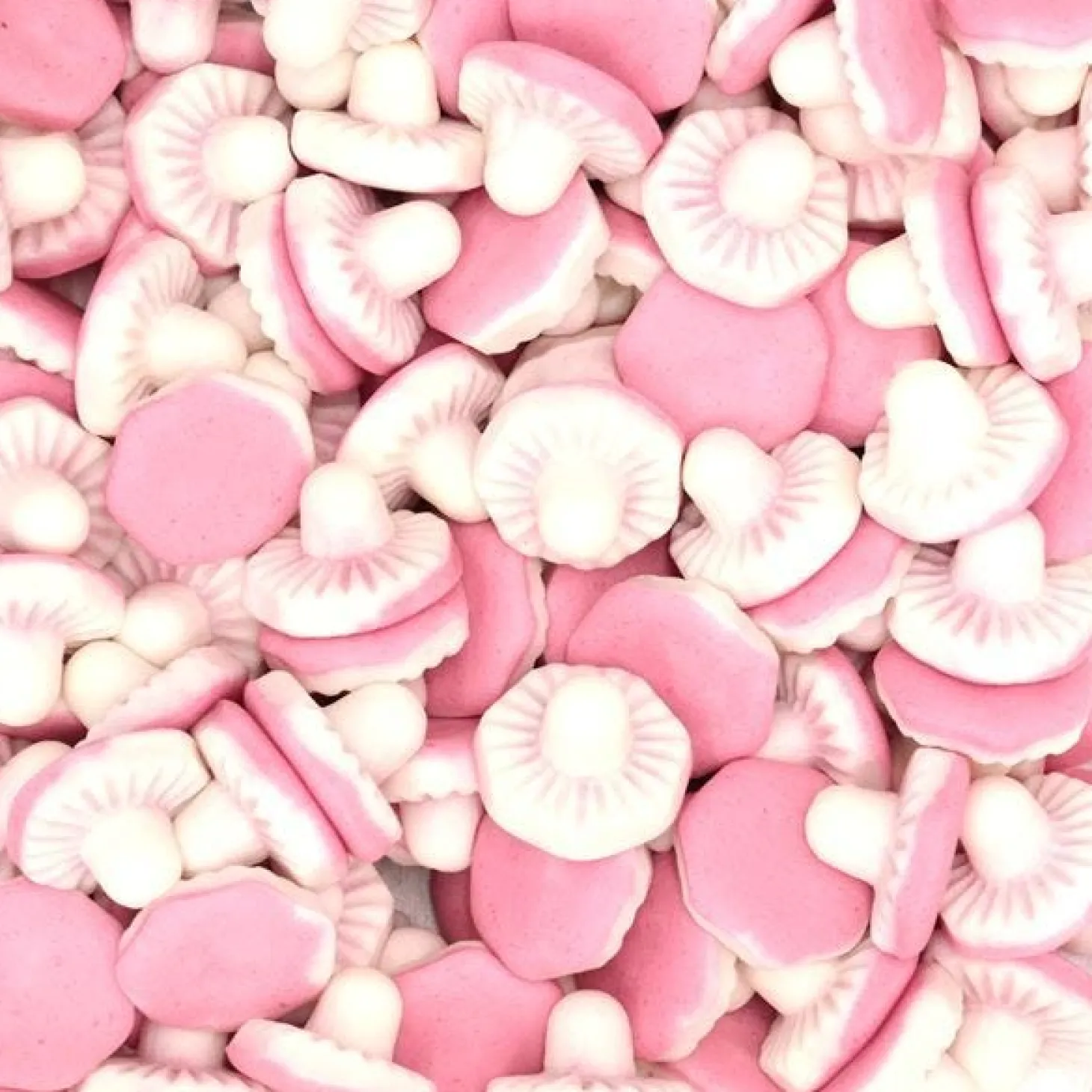 Fun Gums Giant Mushrooms X120