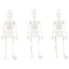 Glow In The Dark Skeletons (16Pk)