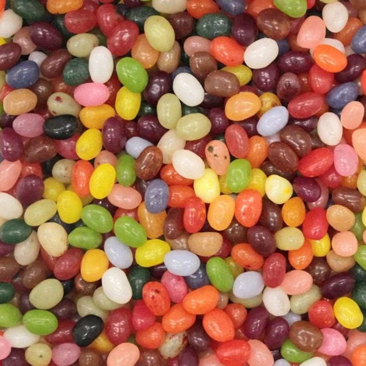 Gourmet Jelly Beans - 1.4Kg