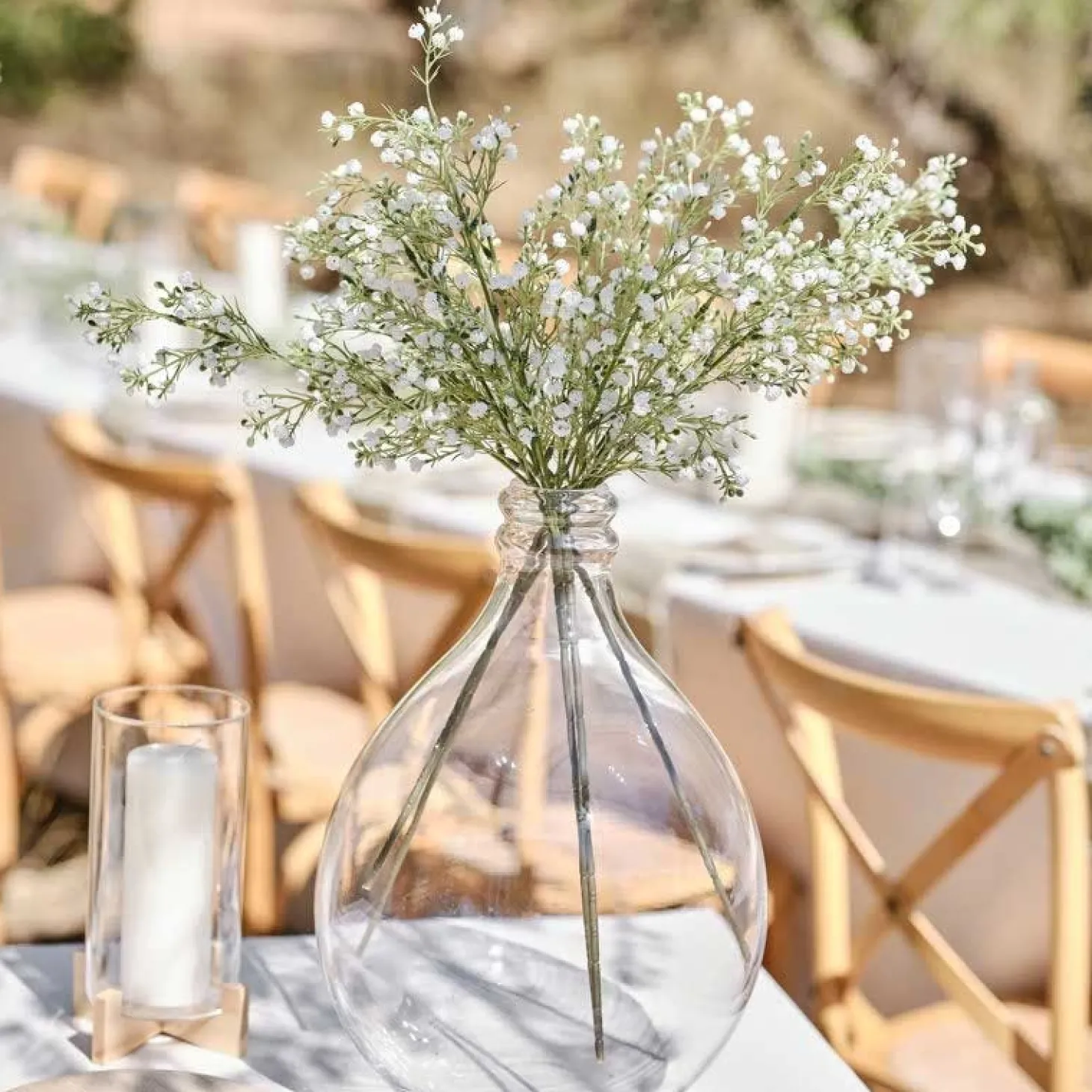 Gypsophilia Foliage Stems (5Pk)