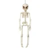 Hanging Alien Skeleton - 42Cm