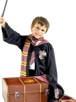 Harry Potter Trunk - Child Costume