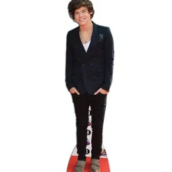 Harry Styles Boyband Cardboard Cutout - 166Cm X 45Cm