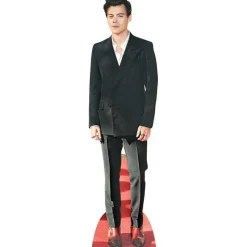 Harry Styles Cardboard Cutout - 90Cm X 24Cm