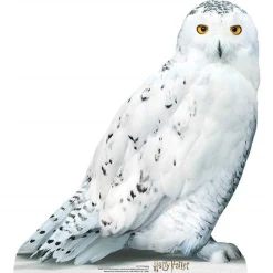 Hedwig Harry Potter Cardboard Cutout - 74Cm X 67Cm