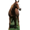 Horse Cardboard Cutout - 190Cm X 80Cm