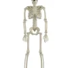 Large Skeleton Decoration