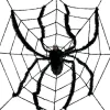 Large Spider Web & Spider - 2.4M
