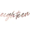 Mix It Up 'Eighteen' Rose Gold Paper Banner - 1.7M