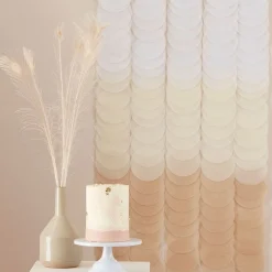 Neutral Ombre Tissue Paper Disc Party Backdrop - 1.8M