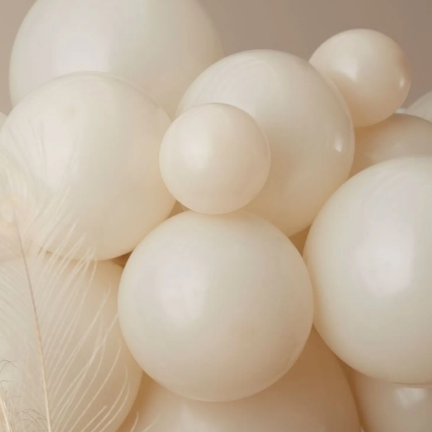 Nude And Brown Balloon Arch Kit - 70 Balloons