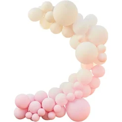 Nude And Pink Balloon Arch Kit - 75 Balloons