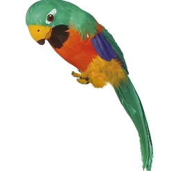 Parrot - 38Cm