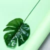 Philo Spray Tropical Leaf Decorations (12Pk)