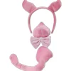 Pig Accessory Kit With Sound - Child