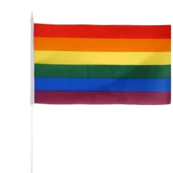 Pride Hat And Glasses Accessory Kit