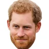 Prince Harry Mask
