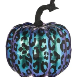 Purple Midnight Pumpkin - 17.5Cm