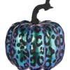 Purple Midnight Pumpkin - 17.5Cm