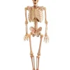 Realistic Skeleton - 1.5M Halloween Prop