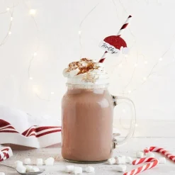 Santa Hat Red & White Stripe Paper Straws (20Pk)