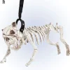 Skeleton Dog With Lead - 45Cm