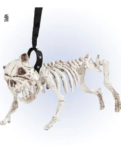 Skeleton Dog With Lead - 45Cm