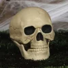 Skull - 20Cm