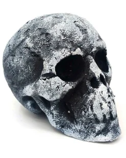 Small Foam Skull Head - 11Cm