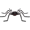 Spider With Light Up Eyes - 1.6M