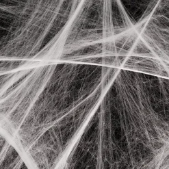 Spiders Web With Spiders - 100Sq Ft