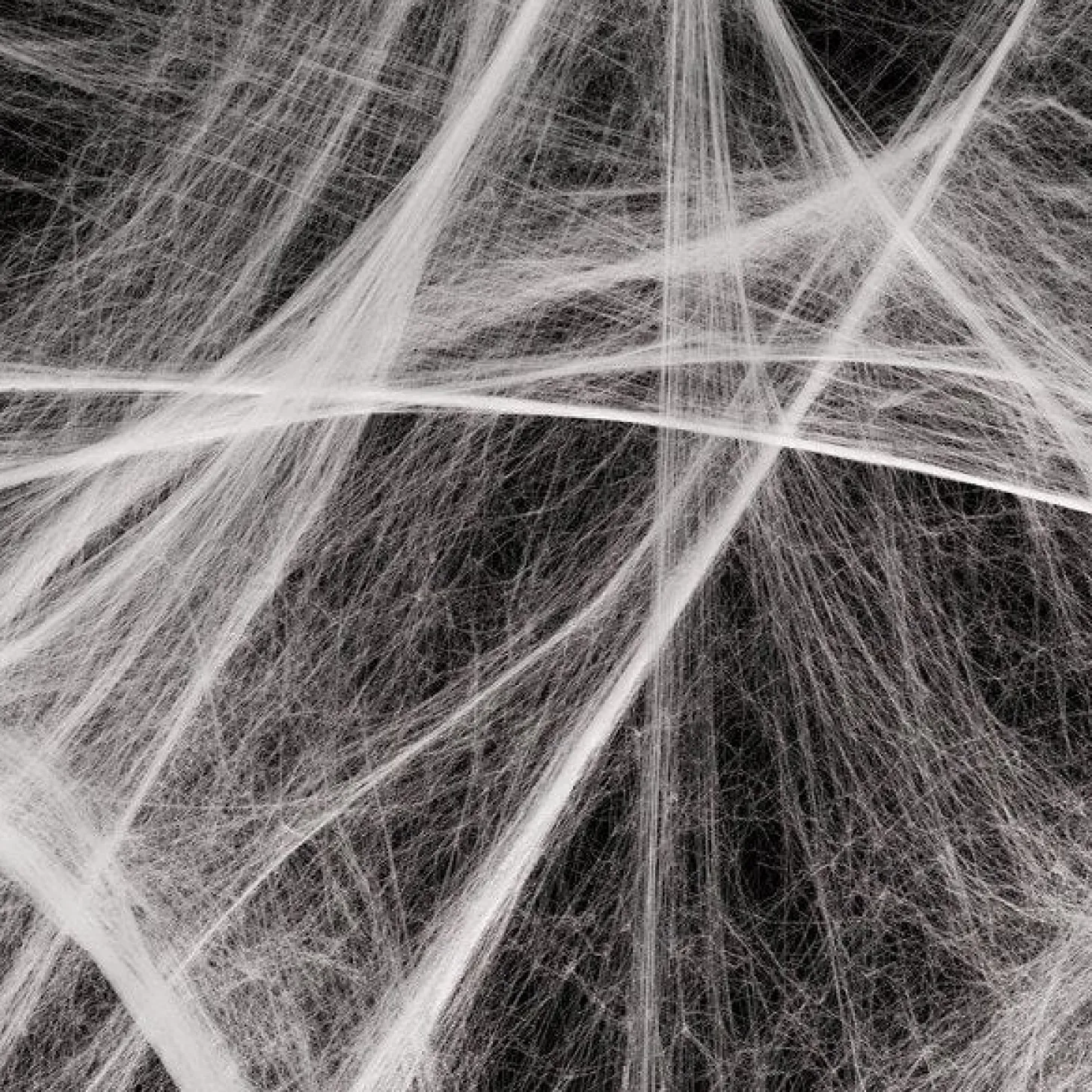 Spiders Web With Spiders - 100Sq Ft