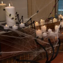 Spiders Web With Spiders - 100Sq Ft
