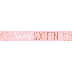 Sweet Sixteen Paper Banners - 1M (3Pk)