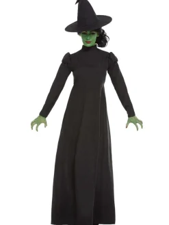 Wicked Witch - Adult Costume