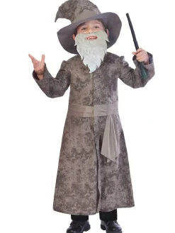 Wise Wizard - Child Costume