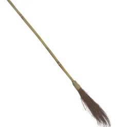 Witches Broom - 1.1M